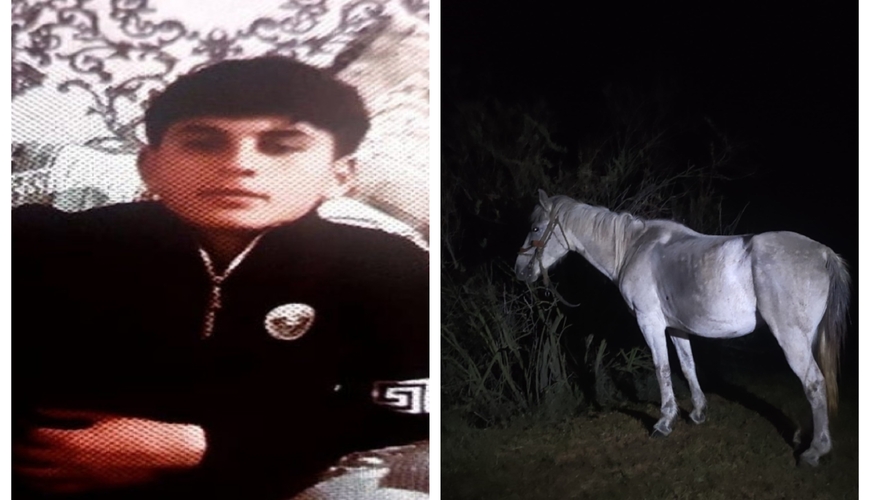 Atı xilas olsa da, özü bataqlıqda boğuldu... - FOTOLAR