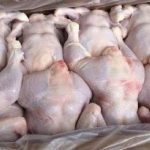 SOS!: Bu toyuqları almayın! Görün nə yedizdirilir