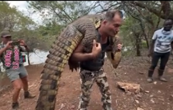 Azərbaycanlı ovçu 400 kq-lıq Nil timsahını OVLADI – VİDEO